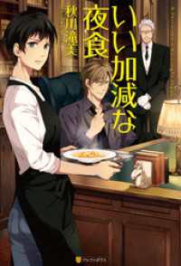 アルファポリス<br> いい加減な夜食