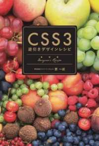 ԢŹ֥ȥ㤨CSS3հǥ쥷ԡפβǤʤ3,080ߤˤʤޤ
