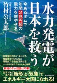 水力発電が日本を救う―今あるダムで年間２兆円超の電力を増やせる