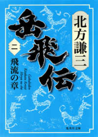 集英社文庫<br> 岳飛伝　二　飛流の章
