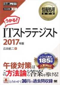 情報処理教科書 ITストラテジスト 2017年版