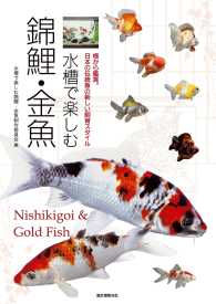 水槽で楽しむ錦鯉・金魚 - 横から鑑賞。日本の伝統魚の新しい飼育スタイル