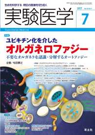 実験医学<br> ユビキチン化を介したオルガネロファジー - 不要なオルガネラを認識・分解するオートファジー