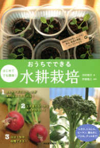 はじめてでも簡単！　おうちでできる水耕栽培　材料は１００円ショップで！ - 安心・安全の野菜、ハーブいろいろ