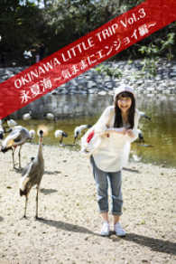 OKINAWA　LITTLE　TRIP　Vol.3　永夏海　2 - ～気ままにエンジョイ編～ 月刊デジタルファクトリー