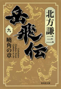 岳飛伝　九　曉角の章 集英社文庫
