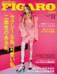 madame FIGARO japon (フィガロ ジャポン) 2017年 11月号 madame FIGARO japon