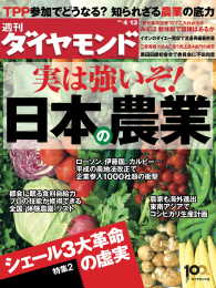 週刊ダイヤモンド<br> 週刊ダイヤモンド 13年4月13日号