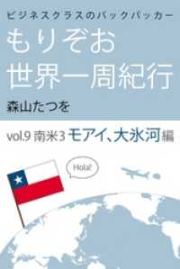 ビジネスクラスのバックパッカー もりぞお世界一周紀行 南米3モアイ、大氷河編