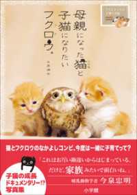 母親になった猫と子猫になりたいフクロウ。～フクとマリモの子育て日記～