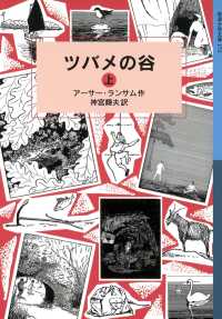 ツバメの谷 （上） 岩波少年文庫ランサム・サーガ