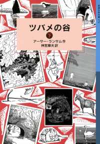 ツバメの谷 （下） 岩波少年文庫ランサム・サーガ