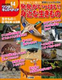 ワンダーキッズペディア14　生きもの3 鳥・両生類・は虫類 ～発見がいっぱい！身近な生きもの～ ワンダーキッズペディア