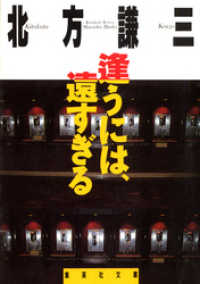 逢うには、遠すぎる 集英社文庫