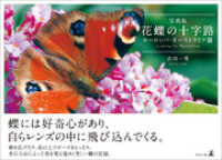 写真集　花蝶の十字路　ヨーロッパ・オーストラリア篇 - Looking for Butterflies