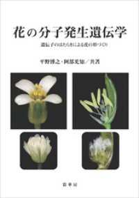 花の分子発生遺伝学　遺伝子のはたらきによる花の形づくり