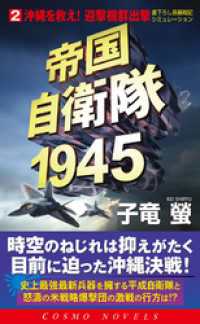 帝国自衛隊1945（2）沖縄を救え！迎撃機群出撃