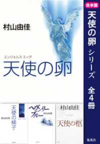 集英社文庫<br> 【合本版】天使の卵（全４冊）