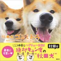 秋田犬　ゴンとトラ　あきたけんじゃないよ　あきたいぬだよ