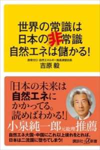 世界の常識は日本の非常識　自然エネは儲かる！ 講談社＋α新書