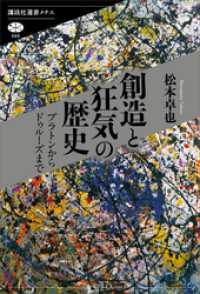 講談社選書メチエ<br> 創造と狂気の歴史　プラトンからドゥルーズまで