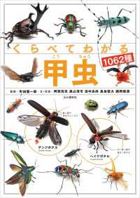 くらべてわかる甲虫1062種 山と溪谷社