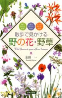 散歩で見かける野の花・野草