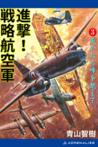 進撃！戦略航空軍（３）　遙かなる峰を越えて