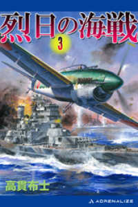 烈日の海戦（３）