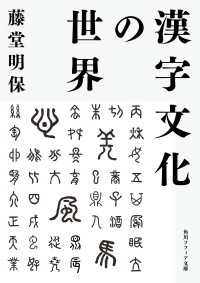 角川ソフィア文庫<br> 漢字文化の世界