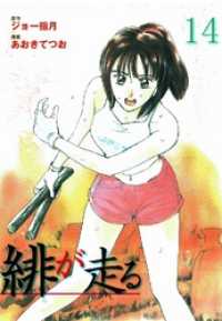 緋が走る 14巻 マンガの金字塔