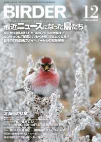 BIRDER2016年12月号