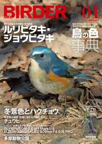 BIRDER2018年1月号