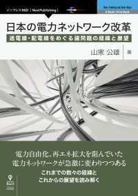 日本の電力ネットワーク改革 - 送電線・配電線をめぐる諸問題の経緯と展望