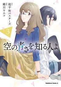 空の青さを知る人よ（３）