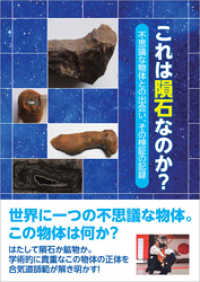 これは隕石なのか？　不思議な物体との出会い、その検証の記録