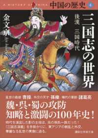 講談社学術文庫<br> 中国の歴史４　三国志の世界　後漢　三国時代