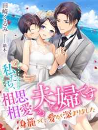 私たち、相思相愛夫婦です～身籠って、愛が深まりました～ 夢中文庫セレナイト