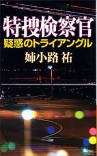 講談社ノベルス<br> 特捜検察官　疑惑のトライアングル