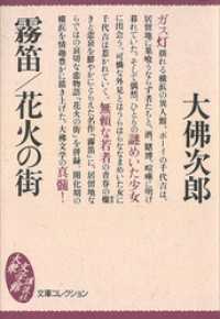 霧笛／花火の街 講談社文庫