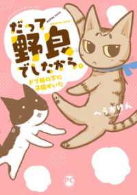 だって野良でしたから。　ドブ板の下に子猫がいた ペット宣言