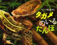 タガメのいるたんぼ ふしぎいっぱい写真絵本