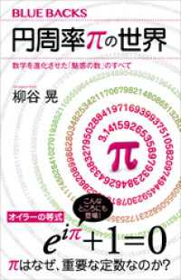 円周率πの世界　数学を進化させた「魅惑の数」のすべて ブルーバックス