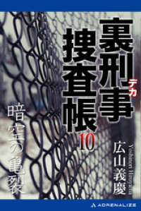 裏刑事捜査帳（10）　暗空の亀裂