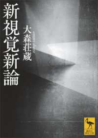 新視覚新論 講談社学術文庫