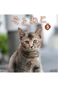 PAD<br> そとねこ　VOL.05