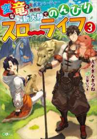 変な竜と元勇者パーティー雑用係、新大陸でのんびりスローライフ3