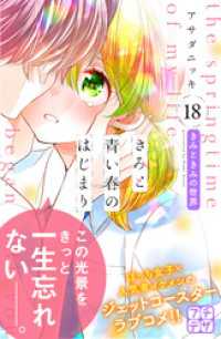 きみと青い春のはじまり　プチデザ（１８）