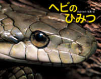 ヘビのひみつ ふしぎいっぱい写真絵本