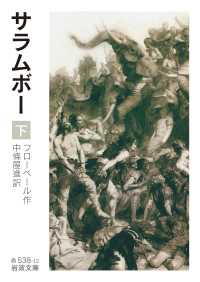 サラムボー　下 〈2〉 岩波文庫